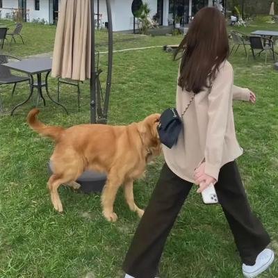 重大发现 在线观看